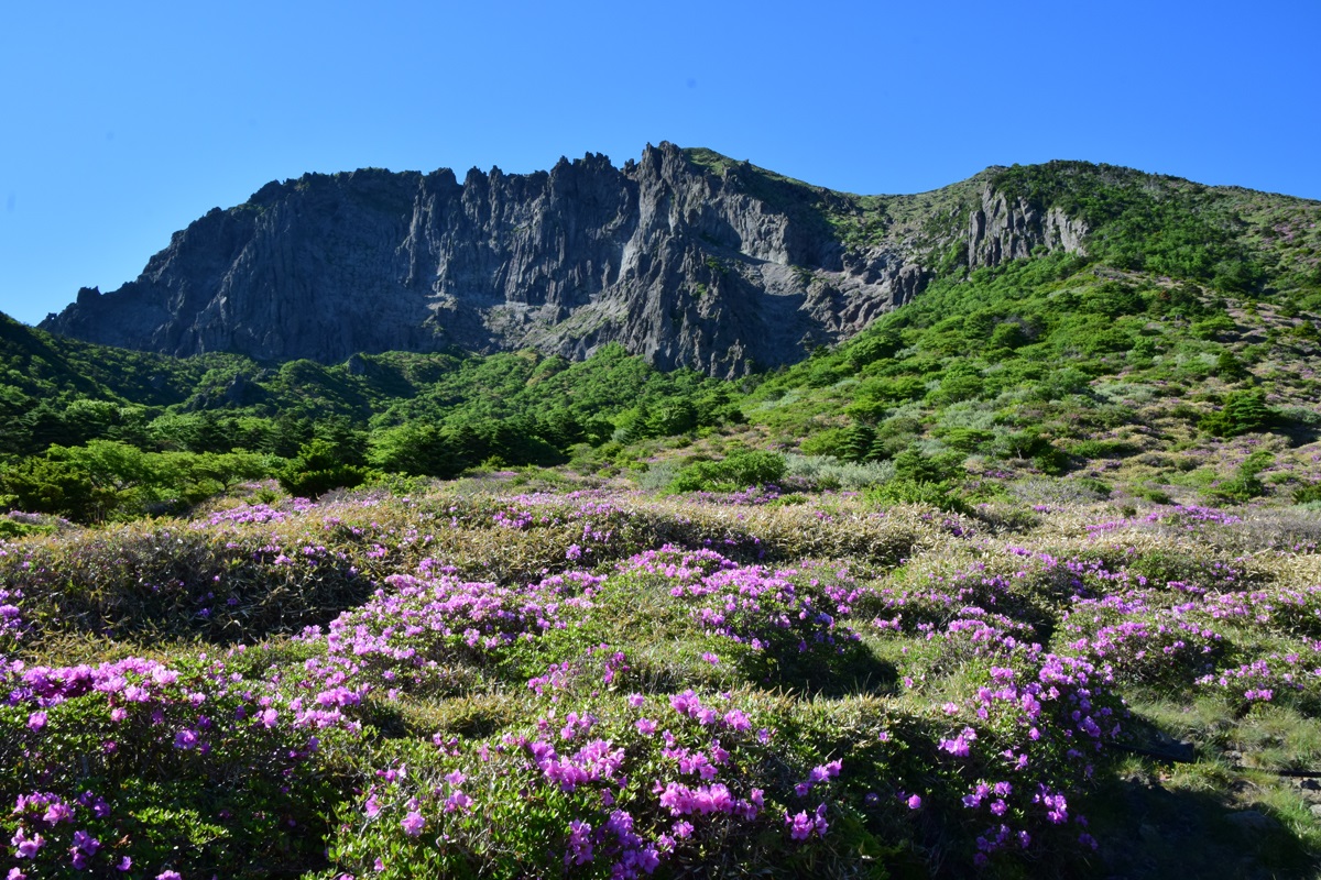 한라산국립공원 입산-하산시간 조정 < 사회일반 < 사회 < 기사본문 - 제주도민일보