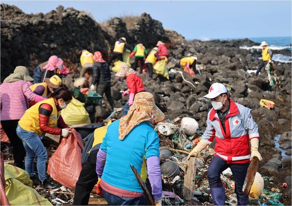 대한적십자봉사회, 괭생이모자반을 제거하고 해안가에 버려진 쓰레기 수거