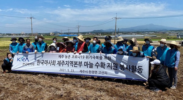 한국마사회 제주지역본부, 한경면 고산리 마늘 수확 지원 봉사활동