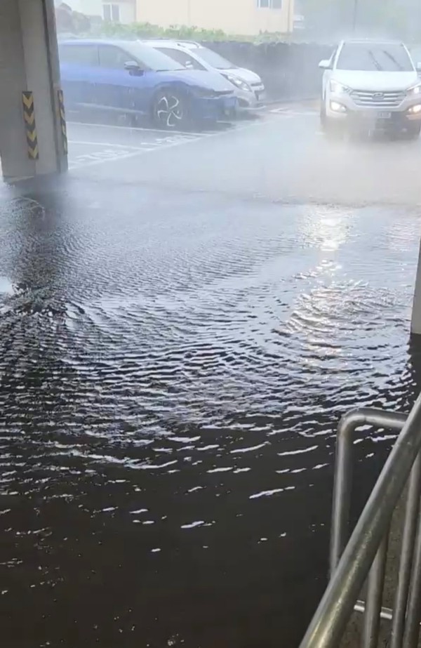 도민제보사진=사귀포시 대정읍 상모리 아파트 주차장.#3