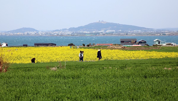 섬속의 섬 '가파·마라도' 특수상황 개발사업 8억 투입