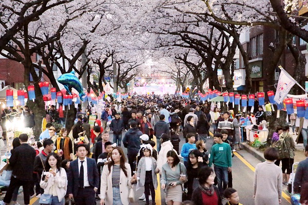 제16회 전농로 왕벚꽃 축제...4년만에 대면축제로 개최