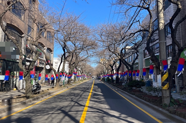 제17회 전농로 왕벚꽃 축제 개막을 하루 앞둔 21일 전농로 거리. 벚나무에 봉오리만 달려있다. 이서희 기자