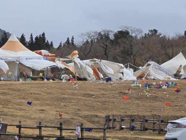 지난 15일 제주들불축제 행사장에 강풍에 파손된 천막과 집기들이 날리고 있다. 제주시 제공