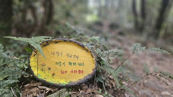 제주도교육청 마음치유프로그램  활동 사진.  [제주도교육청 제공]