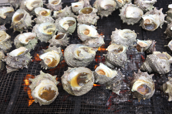 제주 소라. 제주도민일보DB