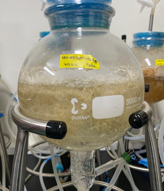 황근 부정근 생물반응기 [제주테크노파크]